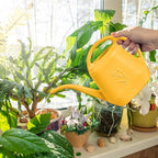 Plastic Watering Can -1 Gallon - Orange