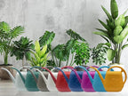 Plant Watering Can - Indoor and Outdoor Home Garden - 1/2 Gallon - White