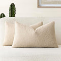 Foindtower Pack of 2, Curly Faux Fur Decorative Throw Pillow Covers Soft Plush Cushion Case with Zipper Cozy Boho Lumbar Pillowcase for Home Living Room Couch Bedroom Sofa 12 x 20 Inch, Light Beige
