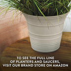 The HC Companies Sedona Round Self-Watering Pot - Lightweight Self Care Planter - Plastic Planter for Herbs & More - Durable Plant Pots for Indoor Plants & Outdoor Plants (7" Honey, Pack of 4)