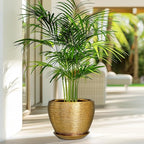 Ceramic Plant Pot 8 Inch - Planter for Outdoor Plants Indoor Plant Pot with Drainage Hole and Saucer Decorative Round Planter Modern Flower Pot for House Decor Gold