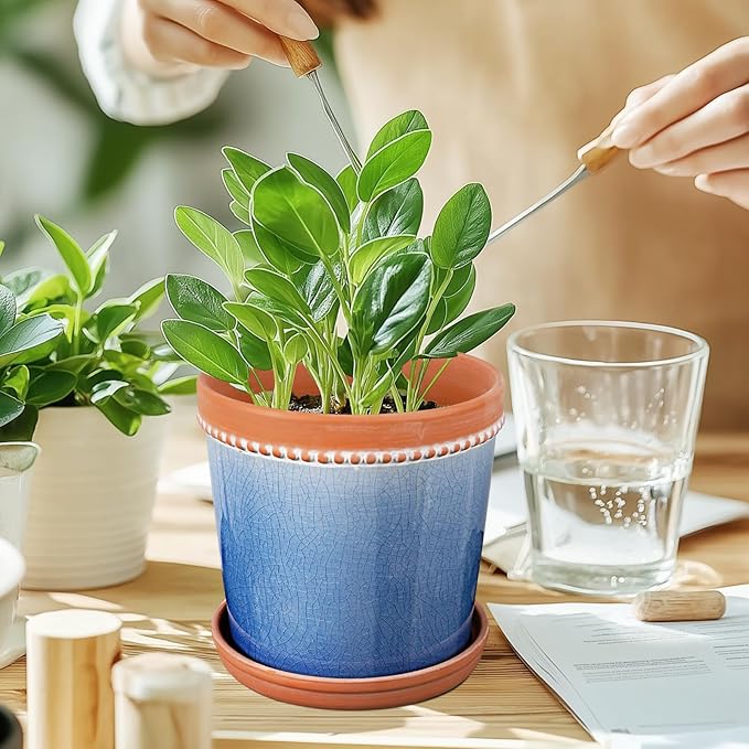 6 Inch Plant Pots, Ceramic Pots for Plants with Drainage Hole and Saucer,Modern Flower Pots Indoor/Outdoor Pot for Plants,Set of 2 - Crackle Glaze Blue
