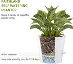 FaithLand 2-Pack 9 Inch Planter Pots for Indoor Outdoor Plants, Self Watering Flower Pots with Deep Reservoir, White with Terracotta …
