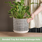 8 Inch Plant Pot: Ceramic Planter with Drainage Hole & Saucer for Indoor Outdoor Plants - Flowerpot with Bonded Tray for Home Office - Mixed Stripe Debossed