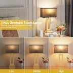 Bedroom Table Lamps Set of 2 - Black Gold Touch Bedside Lamps with USB C+A, 3 Way Dimmable Gold Lamp for Nightstand, Modern Night Stands Lamps for Living Room