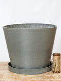 Selva Planter 16-inch, Cement, Indoor/Outdoor