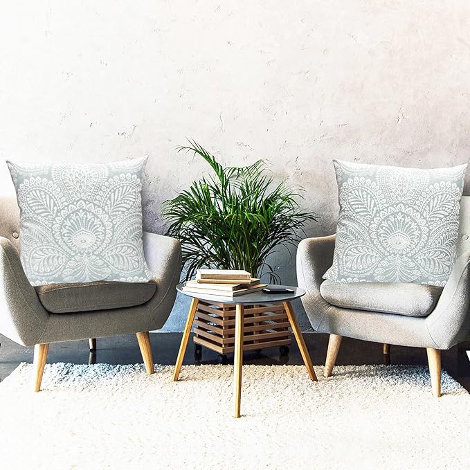 Decorative Throw Pillow Covers Set of 2 Light Blue Retro Pillow Covers 18x18 inch Super Soft Short Plush Square Throw Pillows,Farmhouse Outdoor Boho Pillow Covers for Couch Living Room