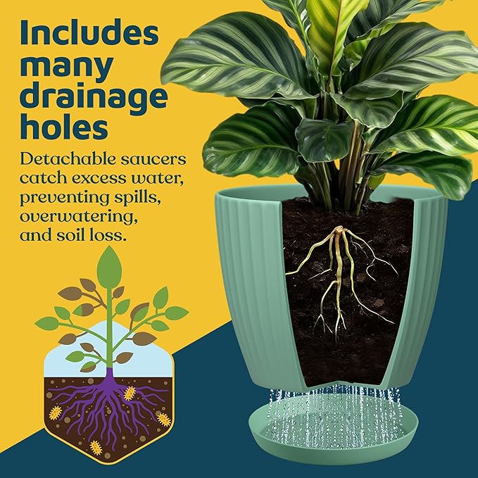 Mint 6-Inch Plant Pots with Drainage & Saucers 3 Pack, Indoor & Outdoor Planters for Houseplants, Herbs, and Flowers, Durable & Weatherproof Material, Stackable, Lightweight, Minimalist Design