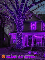 Halloween String Lights Battery Operated with Auto Timer, 33FT 100 LED Waterproof LED Purple String Lights with 8 Modes, Fairy Twinkle Light for Indoor & Outdoor Party Bedroom Halloween Decorations
