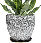 Ceramic Planter - 6 Inch Plant Pot for Indoor Ourdoor Plants, Round Succulent Planter, Decorative Flower Pots with Drainage Hole and Saucer, Home Desk Decor, Housewarming Gifts, White-Black
