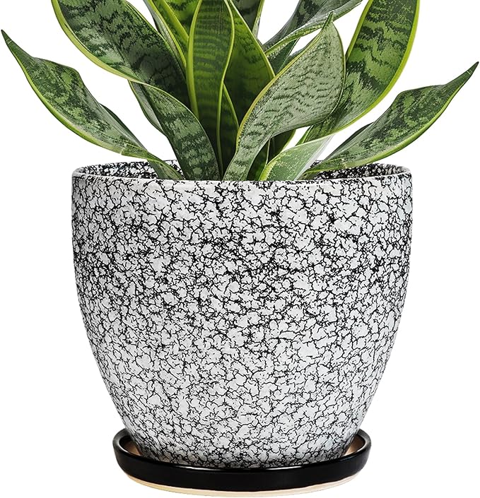 Ceramic Planter - 6 Inch Plant Pot for Indoor Ourdoor Plants, Round Succulent Planter, Decorative Flower Pots with Drainage Hole and Saucer, Home Desk Decor, Housewarming Gifts, White-Black