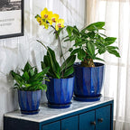 ADN Large Plant Pot Indoor Planters Ceramic Pot for Plants with Drainage Hole and Saucer for Flowers and Plants, Navy, 8 Inch