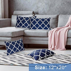 JMGBird Outdoor Waterproof Lumbar Pillows Set of 2 with Insert 12x20 Inch for Patio Furniture
