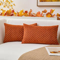 Kevin Textile Pack of 2 Fall Corduroy Decorative Throw Pillow Covers 12x20 Inch Soft Boho Striped Pillow Covers Modern Farmhouse Home Decor for Sofa Living Room Couch Bed Rust
