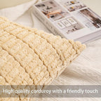Pack of 2 Corduroy Decorative Throw Pillow Covers 18x18 InchSoft Striped Pillow Covers Modern Farmhouse Home Decor for Sofa Living Room Couch Bed（Light Brown）