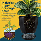 Black 6-Inch Plant Pots with Drainage & Saucers 3 Pack, Indoor & Outdoor Planters for Houseplants, Herbs, and Flowers, Durable & Weatherproof Material, Stackable, Lightweight, Minimalist Design