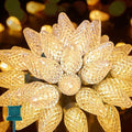 Brightown C9 LED Christmas String Lights, 33ft 50 LED Waterproof Strawberry String Lights