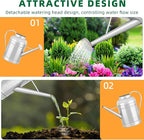 2.3 Gallon Bowl Decorative Countryside Style Water Can with Removable Spout, Galvanized Watering Can for Outdoor Indoor Plants, Metal Watering Can for Indoor Plants and Garden Flower