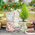 Sungmor Vintage Ceramic Planter Set of 3 - Decorative Indoor & Outdoor Flower Pots with Drainage Holes - Tuscan Décor Pots, 5.5" Ice Crackle Glaze Planters for Home, Kitchen, Patio, and Garden