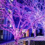 JMEXSUSS 163 FT 500 LED Purple Halloween Lights, 8 Modes Purple Light Indoor Outdoor Waterproof, Remote Control Christmas String Lights Plug-in for Halloween Roof Bedroom Party Tree