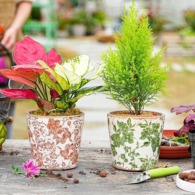 Sungmor Vintage Ceramic Planter Set of 3 - Decorative Indoor & Outdoor Flower Pots with Drainage Holes - Tuscan Décor Pots, 5.5" Ice Crackle Glaze Planters for Home, Kitchen, Patio, and Garden