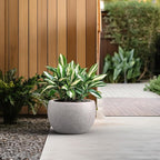 Kante 15.7" Dia Round Concrete Planter, Outdoor/Indoor Large Bowl Plant Pots with Drainage Hole and Rubber Plug for Garden Patio Balcony Home, Light Gray