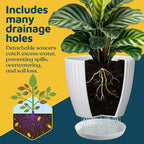 Multicolor 6-Inch Plant Pots with Drainage & Saucers 24 Pack, Indoor & Outdoor Planters for Houseplants, Herbs, and Flowers, Durable & Weatherproof Material, Stackable, Lightweight, Minimalist Design