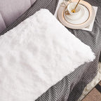 WERDIM Shaggy Fluffy Faux Fur Pillowcases 2 Pack Button Closure Velvet Pillow Shams King Size (White, 20 X 36 Inches)
