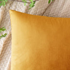 EMEMA Fall Gold Velvet Throw Pillow Covers 18x18 Inch Set of 2 Decorative Square Pillowcase Soft Solid Cushion Case for Couch Sofa Bed Bedroom Livingroom