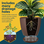 Brown 6-Inch Plant Pots with Drainage & Saucers 3 Pack, Indoor & Outdoor Planters for Houseplants, Herbs, and Flowers, Durable & Weatherproof Material, Stackable, Lightweight, Minimalist Design