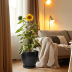 Ceramic Planter - 10 Inch Plant Pot with Drainage Hole and Tray, Round Flower Pots, Planters for Indoor Plants, Modern Room Garden Patio Bathroom Living Room Porch Home Decor, Black