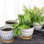 VanEnjoy 5.5 inch Large Round Bohemian Style Ceramic Planter, Geometry Engrave Off White Brown Succulent Planter Flower Pot, Indoor Outdoor Decorative Planter