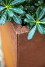 Veradek Corten Steel Series Pedestal Planter - Tall Corten Steel Planter for Outdoor Porch/Patio | Naturally Rusting Steel for All-Weather Use | Modern Rustic Décor for Tall Plants, Trees, Flowers