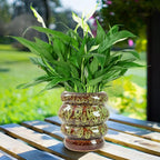 Ceramic 5 inch Plant Pot - Planter for Indoor Plants with Drainage Hole, Flower Pots for Orchid, Succulent,Outdoor Plants, Modern Glaze Planters for Home Office Decor Gift