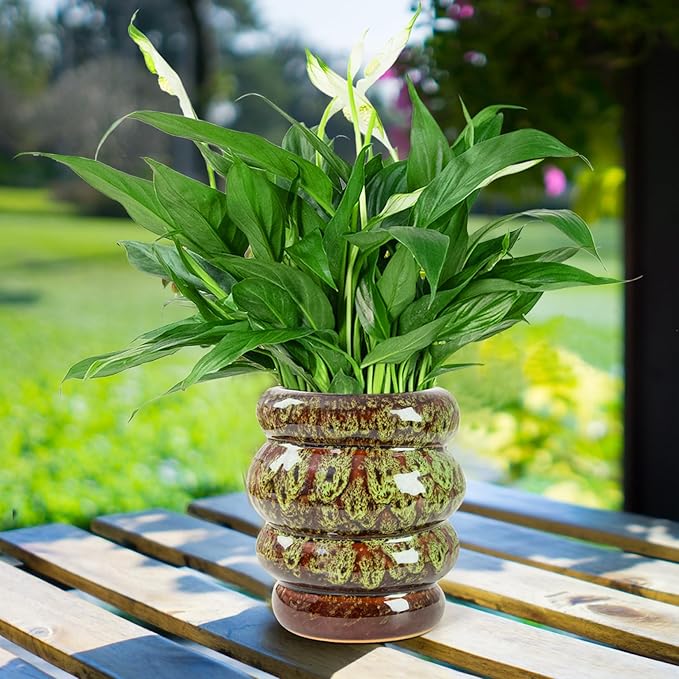 Ceramic 5 inch Plant Pot - Planter for Indoor Plants with Drainage Hole, Flower Pots for Orchid, Succulent,Outdoor Plants, Modern Glaze Planters for Home Office Decor Gift