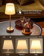 EppieBasic Cordless Table Lamp Rechargeable: Fast Charging & Long Lasting - 2700K Warm Light Vintage Gold Lamps for Women Housewife - Dinning Living Room Bedroom - 2 Pack