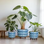 SQOWL Ceramic Plant Pot Indoor with Drainage Hole 13.5 Inch - Large Outdoor Planter Ceramic Flower Pot Modern Round Planter Decorative Plant Pot for Outdoor Porch Decor Blue