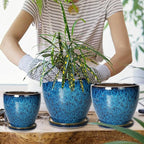Plant Pots Indoor, Ceramic Planters Pots with Drainage Holes and Saucers, 10+8+6 Inch, Set of 3, Round Large Flower Pots for Indoor Outdoor Plants, Blue