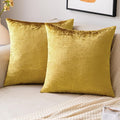 EMEMA Fall Bright Gold Velvet Throw Pillow Covers 20x20 Inch Set of 2 Decorative Square Pillowcase Soft Solid Cushion Case for Couch Sofa Bed Bedroom Livingroom