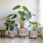 SQOWL Ceramic Flower Pots - 13.5 Inch Plant Pot with Drainage Hole, Large Ceramic Planter for Indoor Plants, Round Modern Planter Outdoor, Porch Home House Decor, Plant Lover Gifts, White