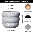 SQOWL Ceramic Pots for Plants - 8 Inch Plant Pot with Drainage Hole, Round Planter for Indoor Plants, Ceramic Flower Pots Outdoor, Modern Planter, Room Decor, Gifts for Plant Lover, Black and White