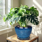 10 Inch Ceramic Planter Pot, Ceramic Plant Pot for Indoor Outdoor Plants, Large Flower Pot with Drainage Hole and Saucer, Blue