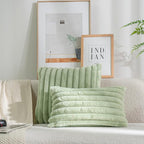 DEELAND Pack of 2,Double-Sided Faux Fur Plush Decorative Throw Pillow Covers Fuzzy Striped Soft Pillowcase Cushion Covers for Sofa Couch Bedroom Green 22x22 inch