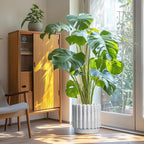 Ceramic Planter for Indoor Plants - 12 Inch Plant Pot Indoor with Drainage Hole, Large Ceramic Flower Pots Outdoor, Fluted Round Planter, Home Decor, Gardening Gifts, Black and White