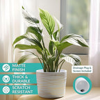 Willowy 9 Inch Ceramic Plant Pot - Matte White with Gold Stripes - Drainage Plug Included