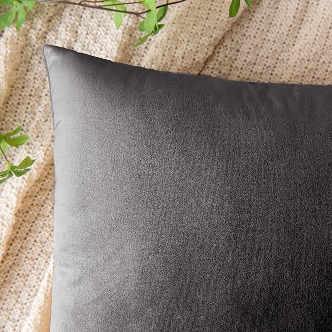 EMEMA Pack of 2 Velvet Throw Pillow Covers Decorative Square Pillowcase Soft Solid Cushion Case for Sofa Bedroom Chair Car 20x20 Inch Grey