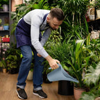 Plant Watering Can - for Home Garden - 1/2 Gallon - Grey