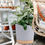 QCQHDU 12 inch Plant Pot, 2 Pack Planters for Indoor Plants with Drainage Holes & Saucer, Outdoor Flower Pots Home Garden Modern Decor