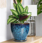 Ceramic Plant Pot, 6 Inch Ceramic Planter Pot with Drainage Hole and Saucer, Succulent Round Flower Pot for Indoor Plants Outdoor, Blue