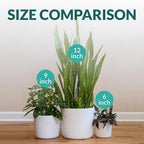 Willowy 9 Inch Matte White Ceramic Planter with Drainage - Ceramic Plant Pots for Indoor, White Indoor Planter, Flower Pot, 9 Inch Plant Pot